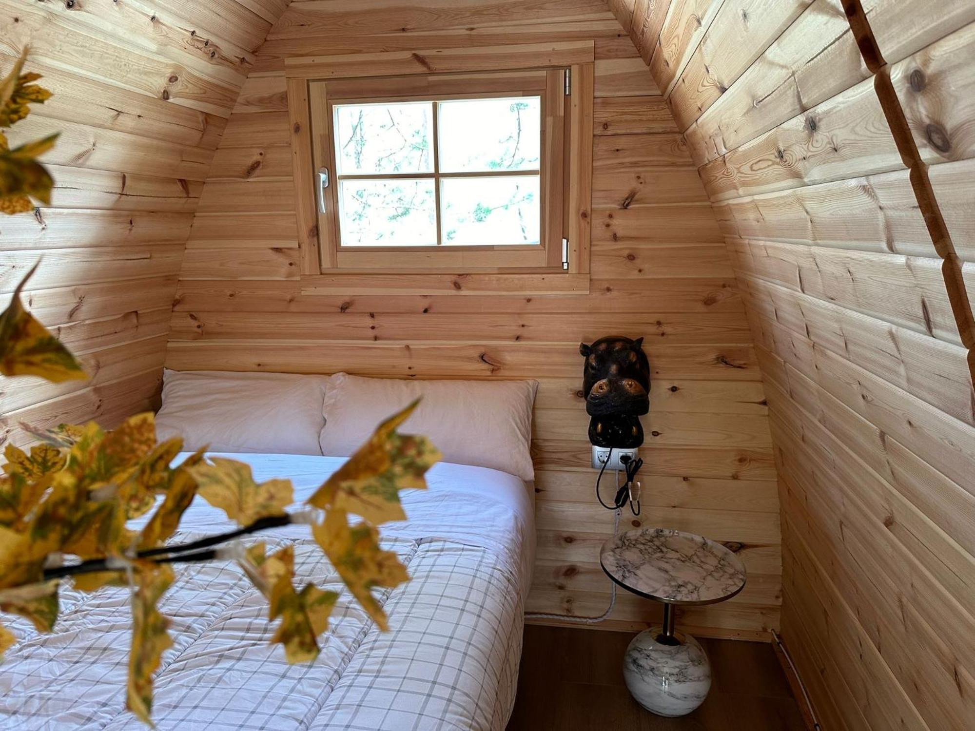 Camping Ripolles Экстерьер фото